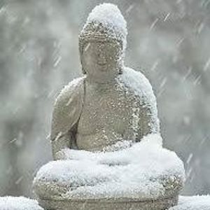 cindydesgrosseilliers avatar