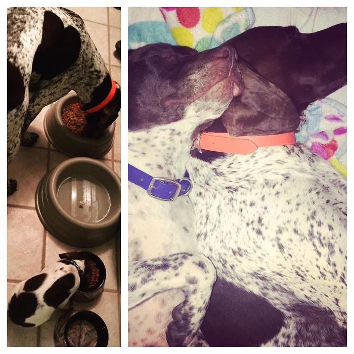 Step-brothers For Life