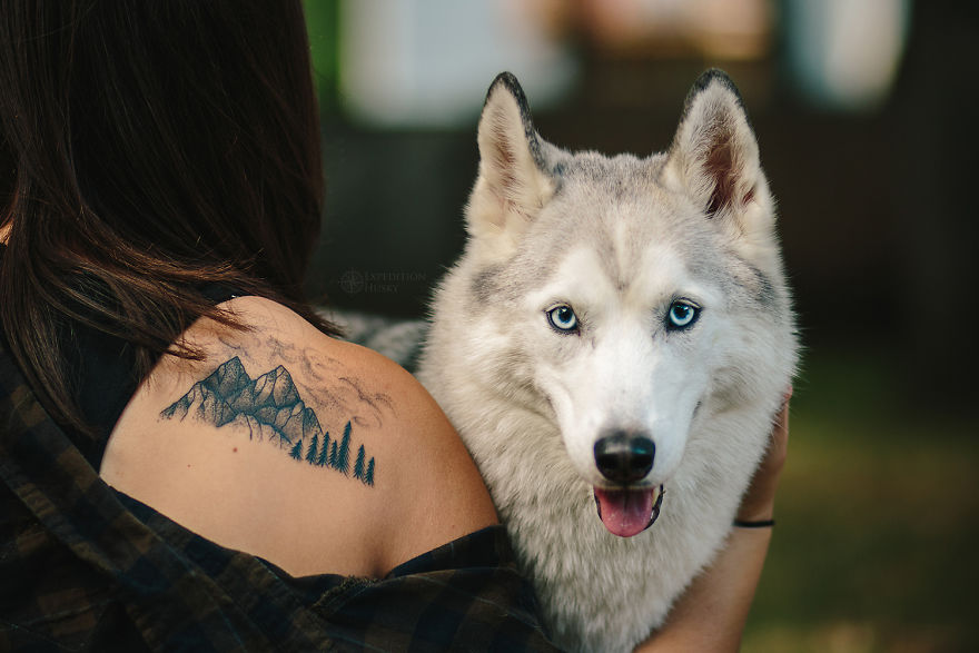 My Beautiful Huskies Helped Me Overcome Clinical Depression And Get On My Feet Again My Beautiful Huskies Helped Me Overcome Clinical Depression And Get On My Feet Again