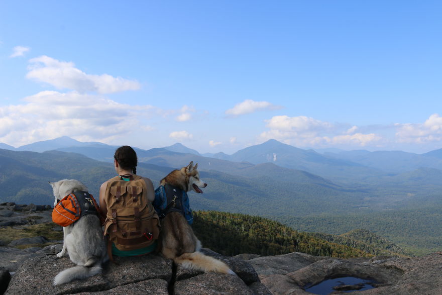 My Beautiful Huskies Helped Me Overcome Clinical Depression And Get On My Feet Again My Beautiful Huskies Helped Me Overcome Clinical Depression And Get On My Feet Again