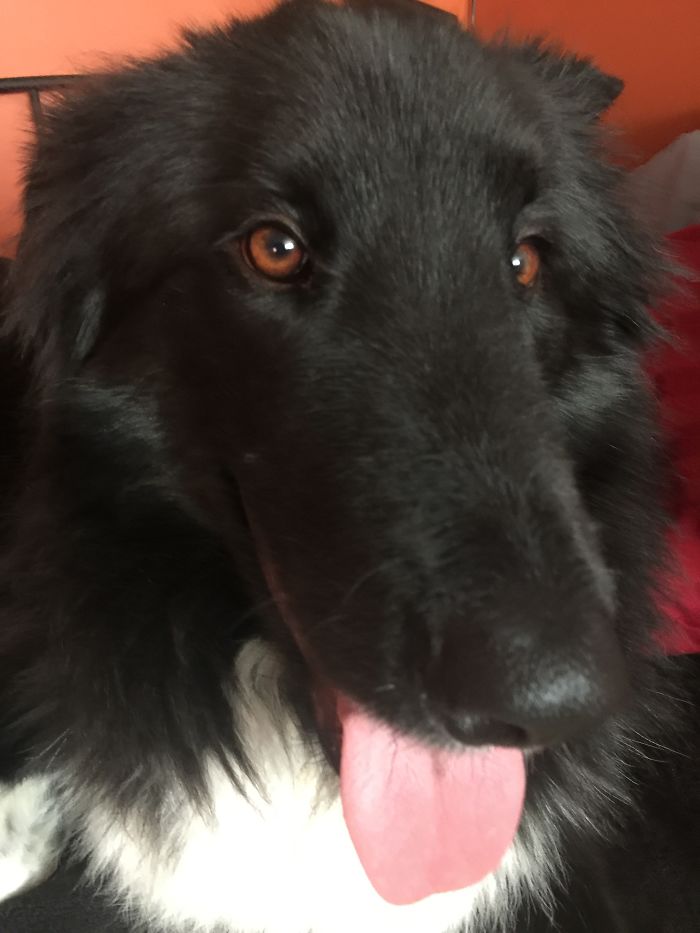 Before And After Telling Tux He's A Good Boy