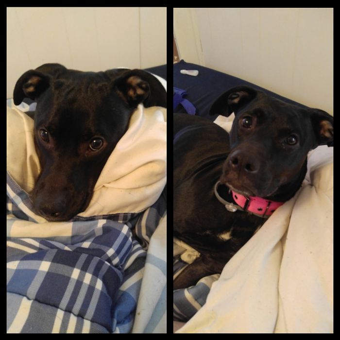 Before And After Being Called A Good Girl