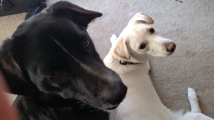 Bffs And Partners In Crime!