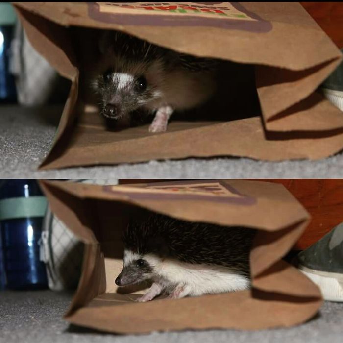 Before (top) And After Being Called A Good Girl.