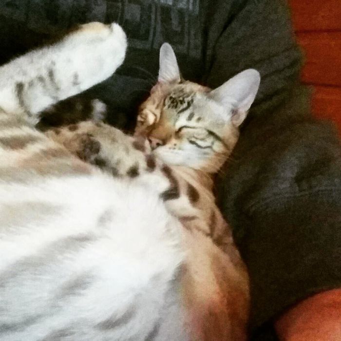 After I Told Her That She Is A Good Girl