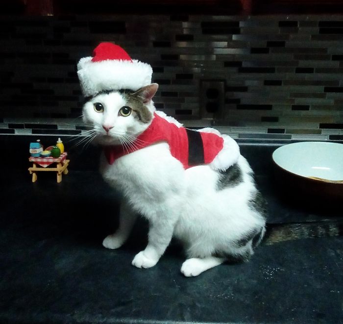 He's Not Too Happy With Mommy!