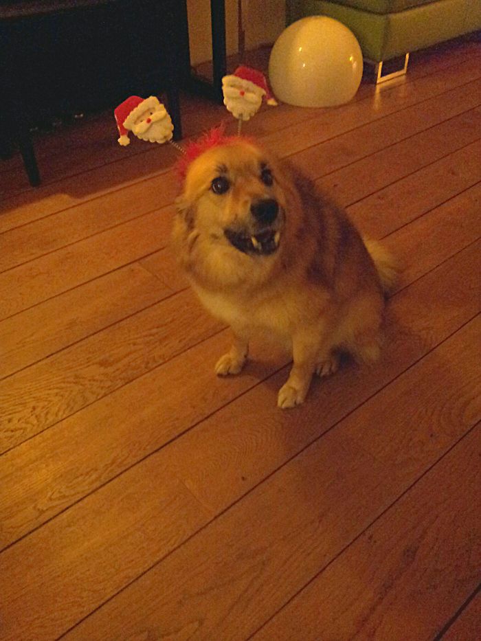 Mom...can I Take It Off Now Pleeeez???!!