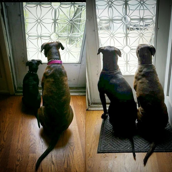 Baby Storm & Kiara !