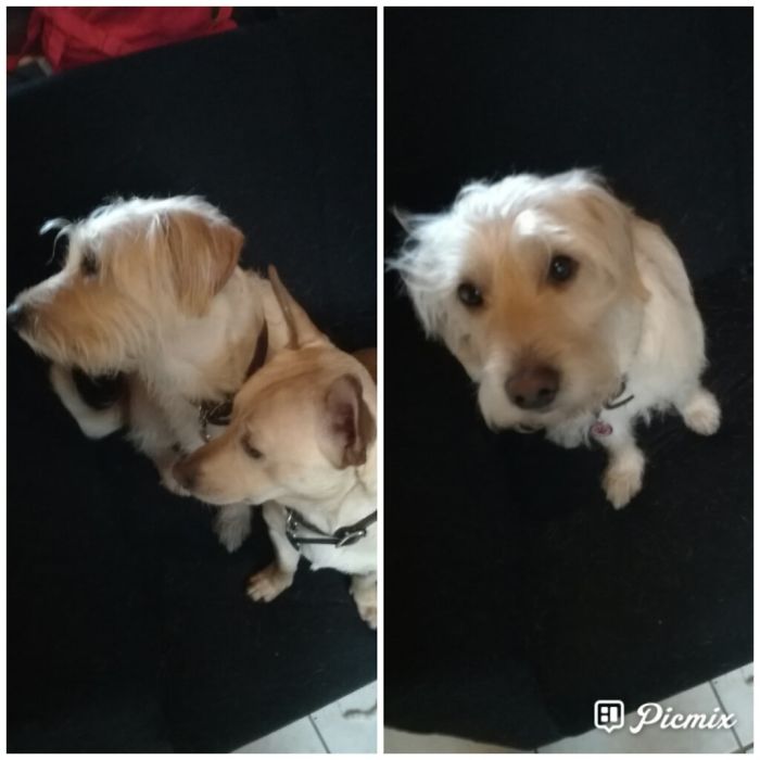 Guess Finn Doesn't Think He Is Good