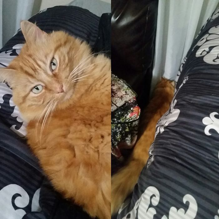 Betty Twinkles Before And After Being Told She's A Good Girl.