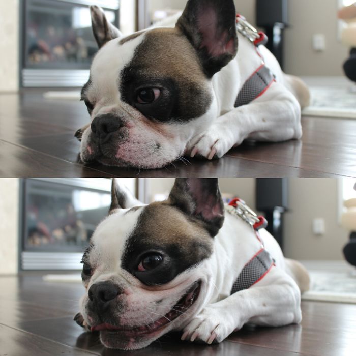 Titus Loves Being Called A Good Boy