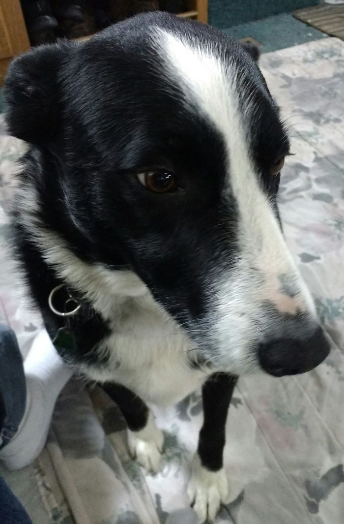 Before And After. But With The Word, "horses." He 💜's The Horses