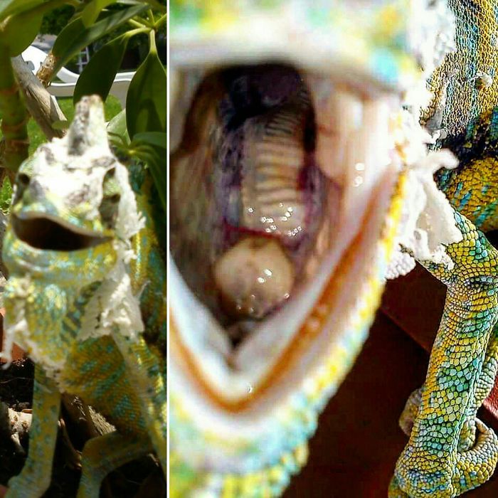 Before And After Being Called A Good Boy