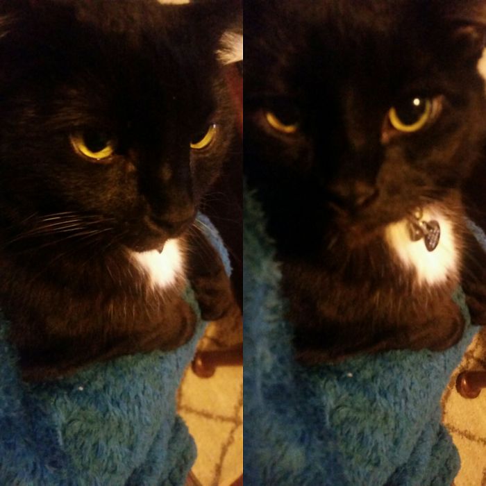 Tux Before And After Good Boy