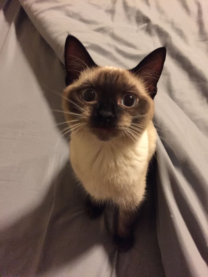 Before And After Being Called A Good Girl!