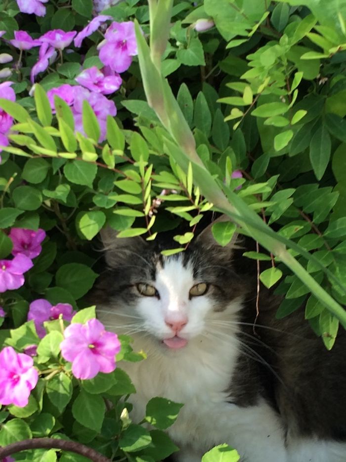 Bandit💕💕💕💕