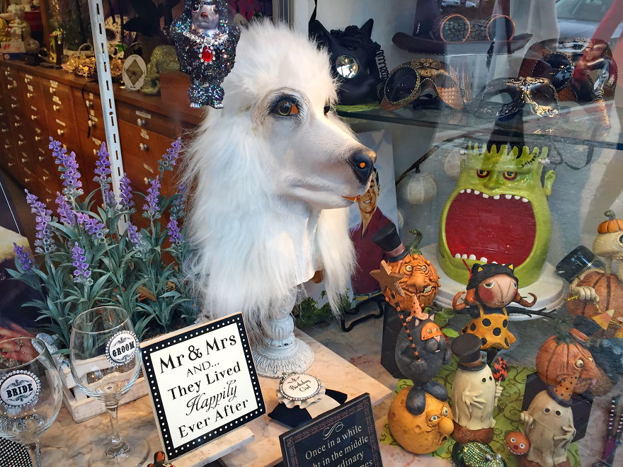 18 Weird Souvenirs I Found While Traveling Around The World That Are Not Suitable For Christmas / Hanukkah 18 Weird Souvenirs I Found While Traveling Around The World That Are Not Suitable For Christmas / Hanukkah