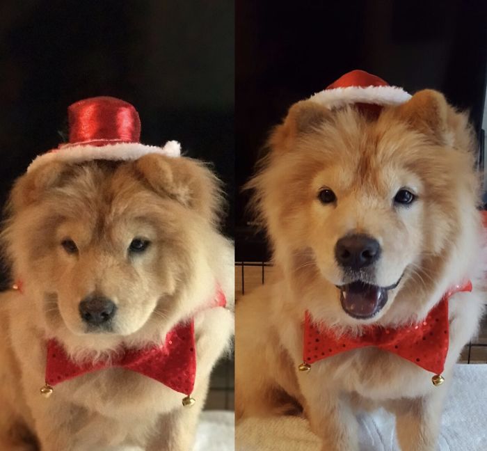 Before And After Being Called A Good Girl