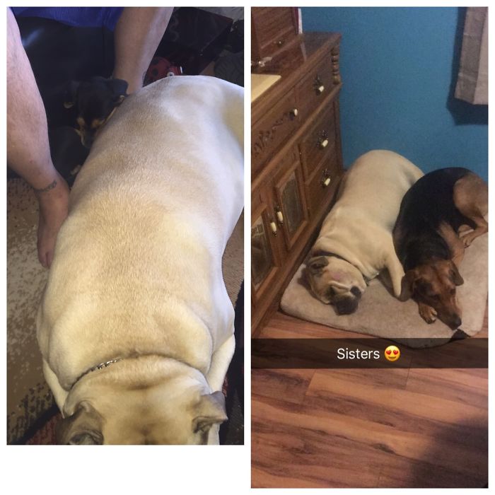 Molly And Her Not So Little Sister Ruby