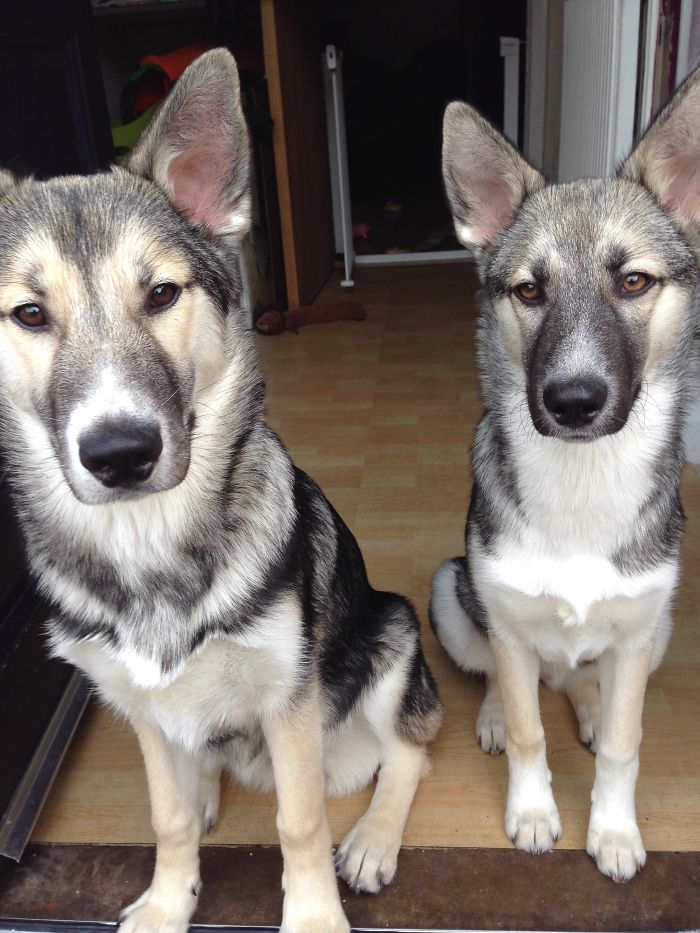 Sisters Standing Guard