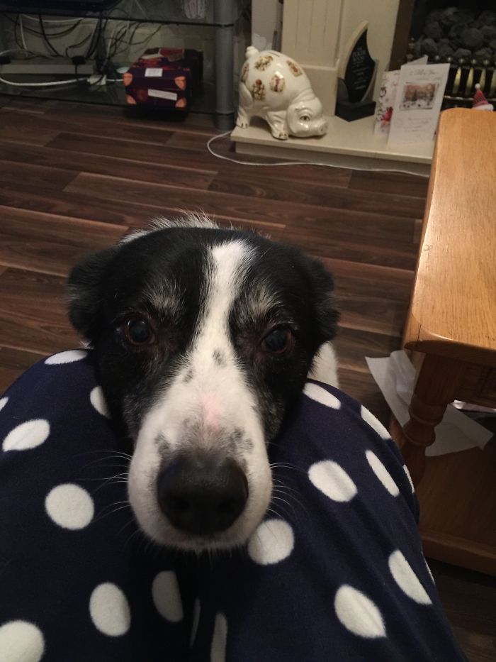 Before An After Saying Good Boy