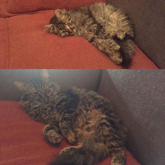 Frey - 9 Months Apart