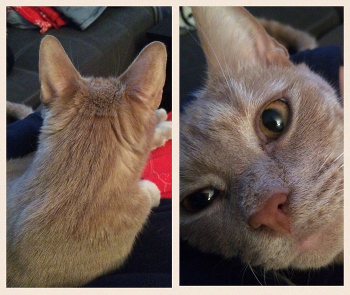 Finn After Being Called A Good Boy 😊