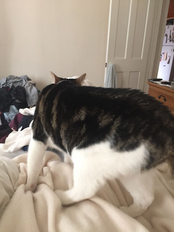 Don't Care, Still Dont