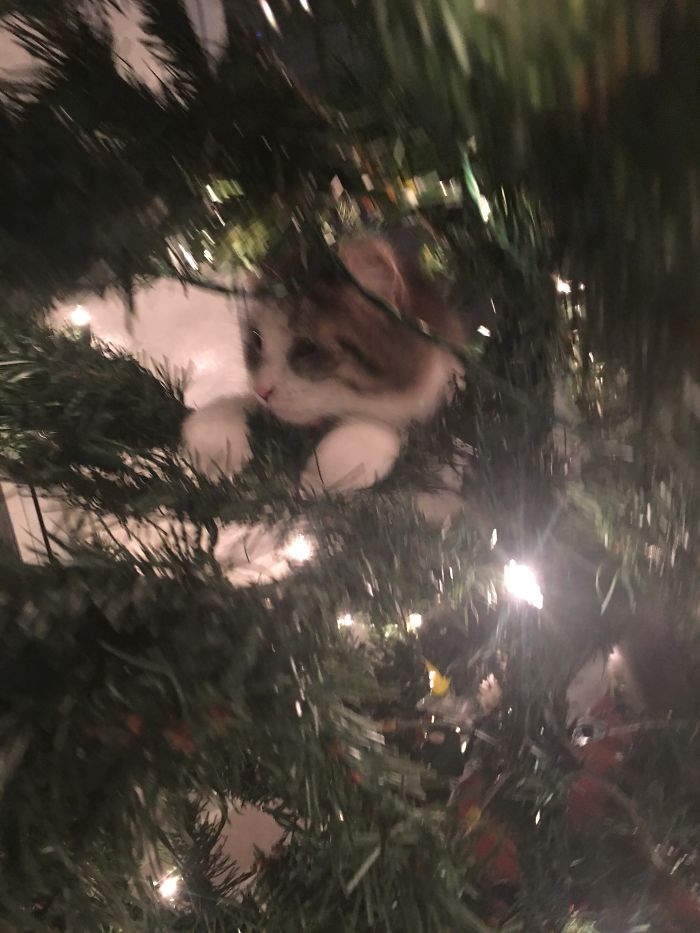 Miss Sassy Pants Took Over