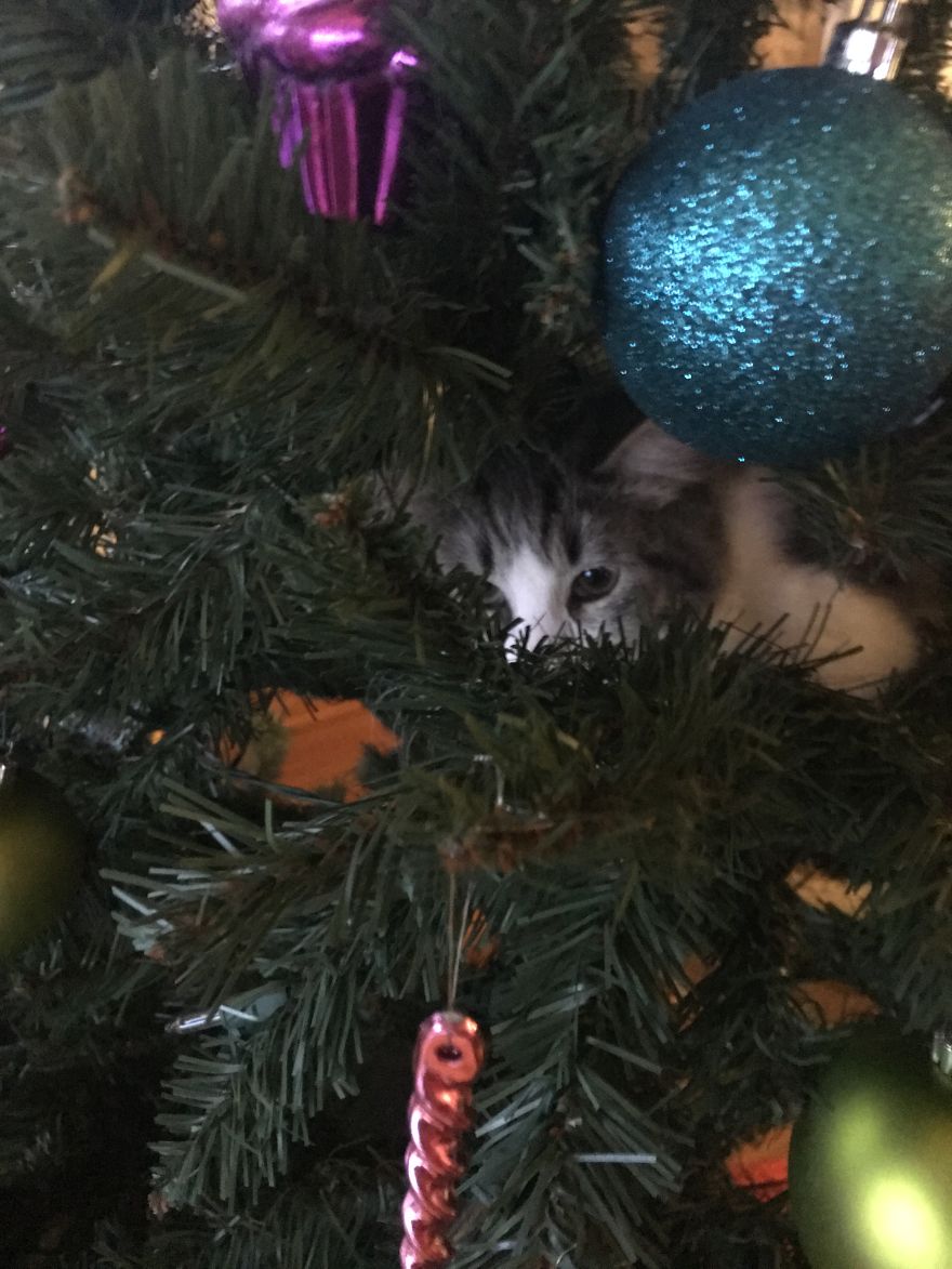 I See You Peek A Boo