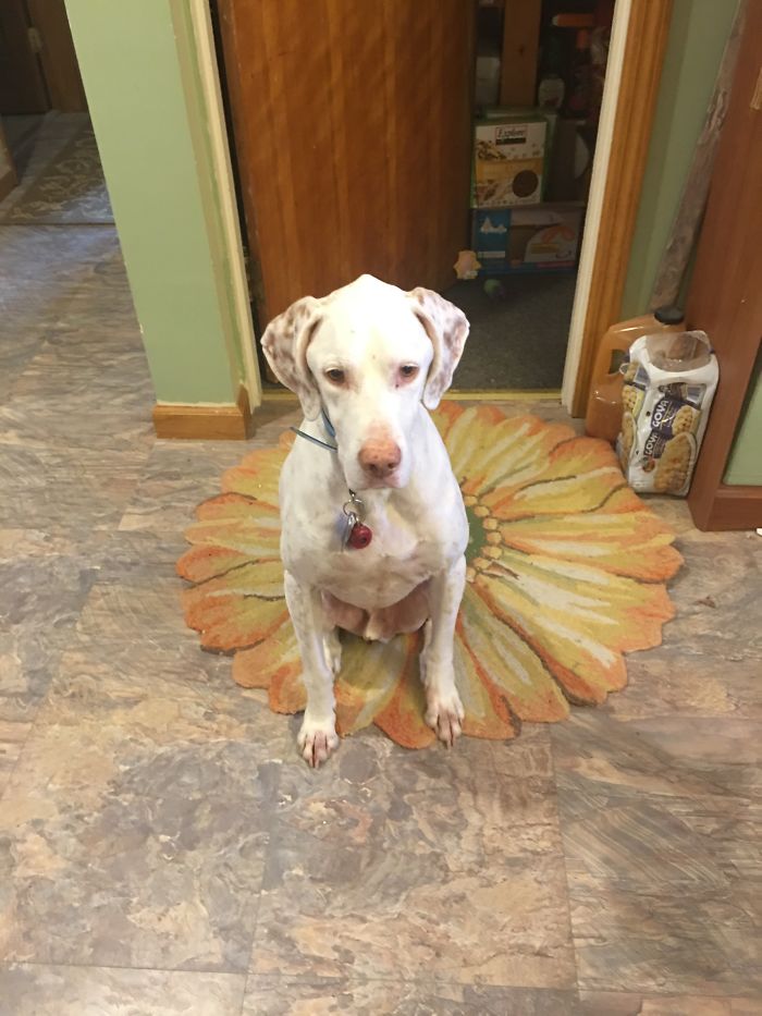 Chance, Who Is Deaf, Before....