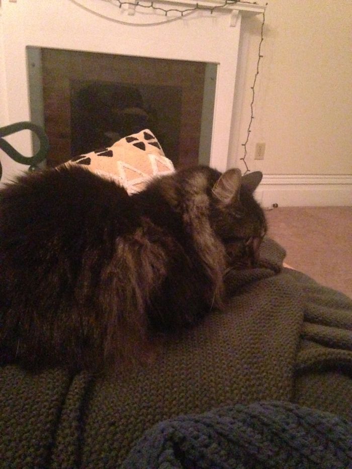 Before And After Telling Little Moon He's A Good Boy