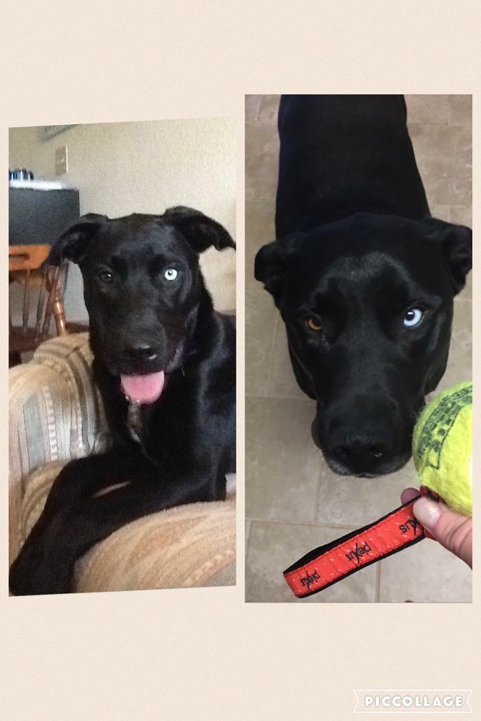 Freddy At 7 Months Freddy At 3 1/2 Years