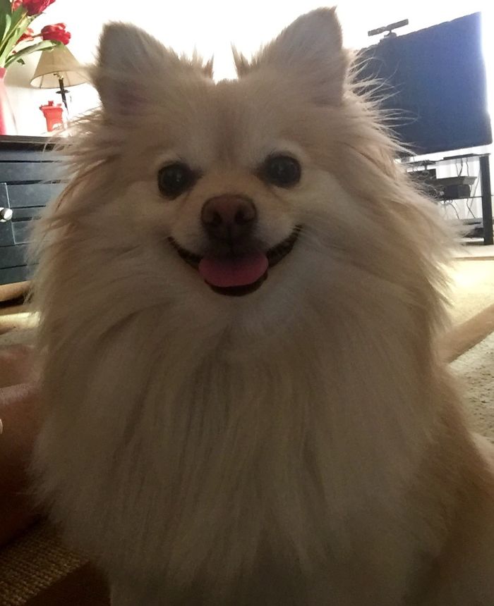 Before And After Being Called A Good Girl