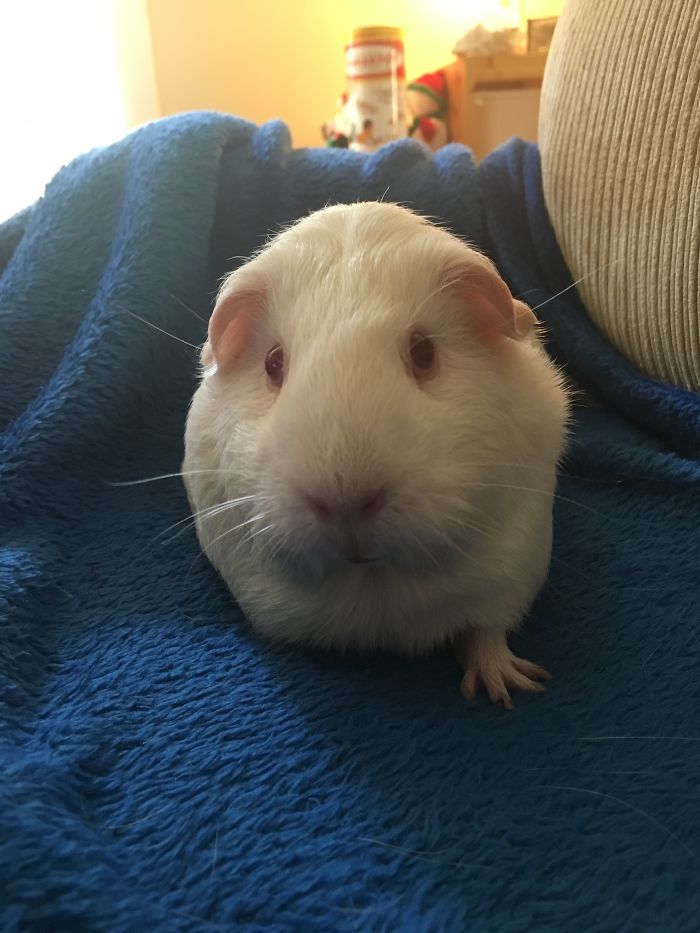 Before And After Being Called "sweet Girl, Coconut".