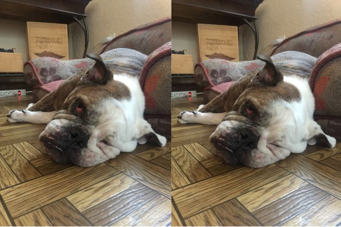 Emma Belle Before And After A "good Girl!"