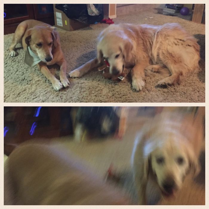 Summer And Winnie, Before And After "good Girls"!