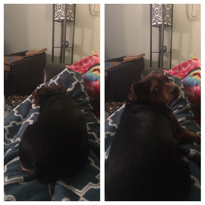 Before And After Good Girl "are You Talkin To Me?"