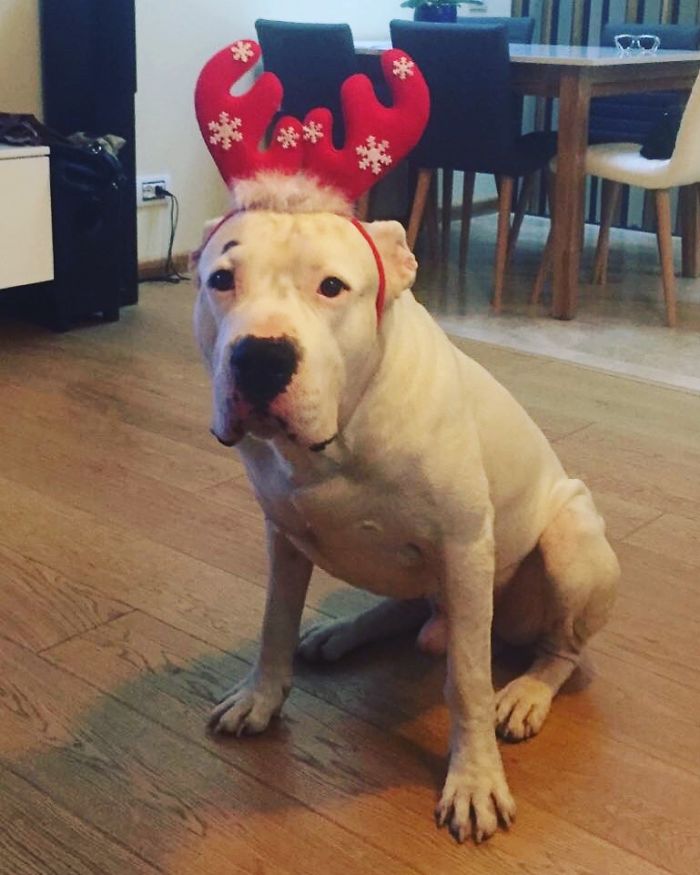 Do I Have To Wait For Christmas With These On??