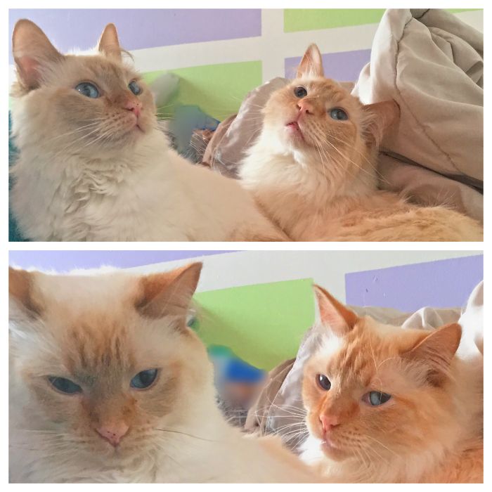 Before And After: Good Girl And Boy