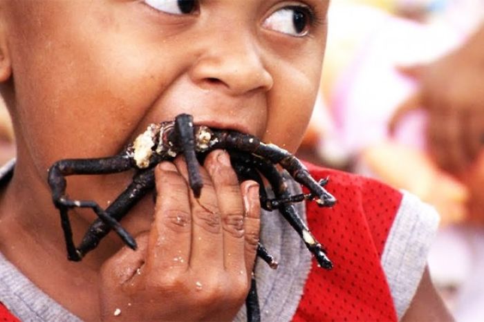 Strange, Bizarre And Some Downright Disgusting "Delicacies" People Chow Down On.