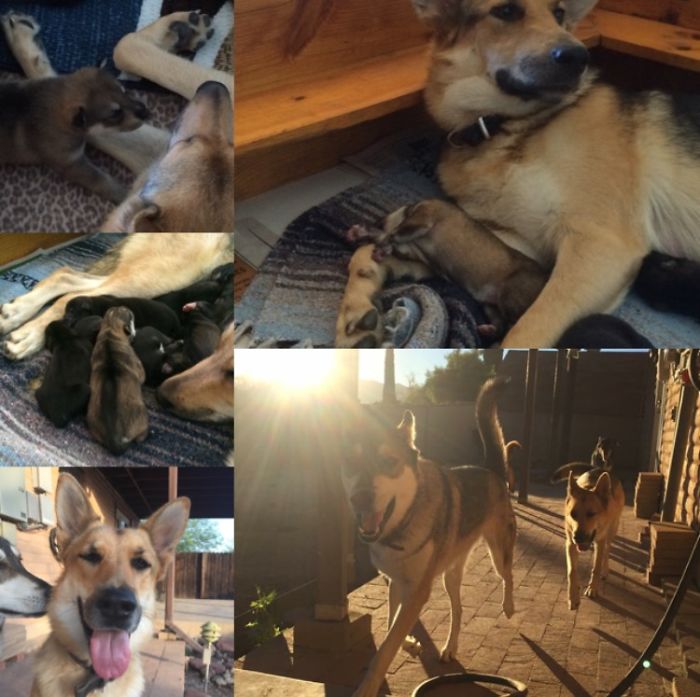 Gracie And Her Daughter Willow ♥️