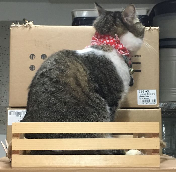 Sunday, Before And After Being Called A Good Girl!