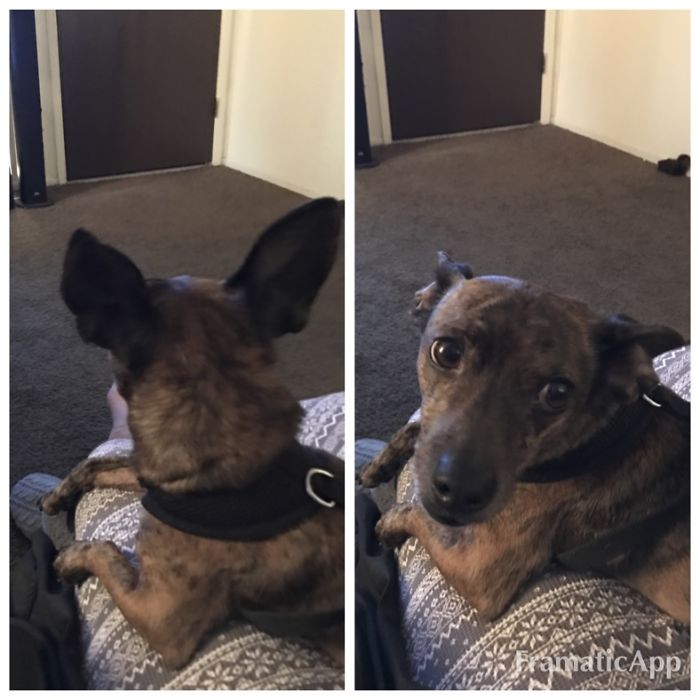 Moniro Before Being Called A Good Boy.