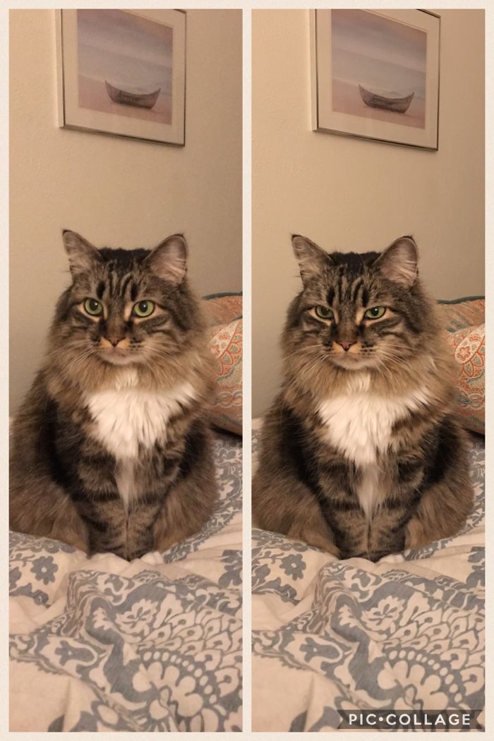 After Saying She's A Good Girl