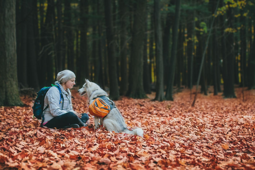 My Beautiful Huskies Helped Me Overcome Clinical Depression And Get On My Feet Again