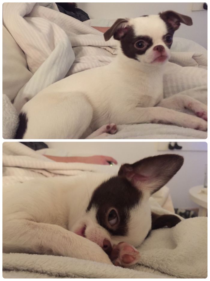 Before And After Being Called A Good Girl.