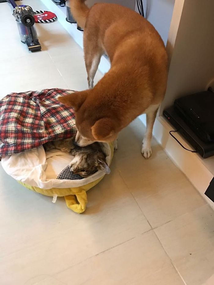 Till Death Do Them Apart