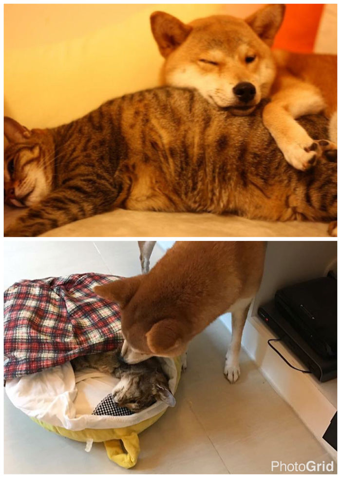 Till Death Do Them Apart