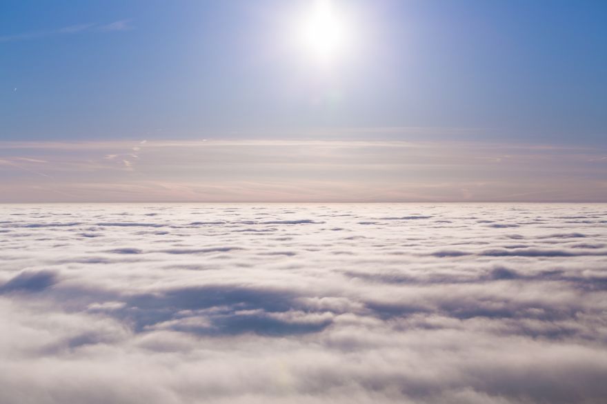 Frozen Forest On Christmas